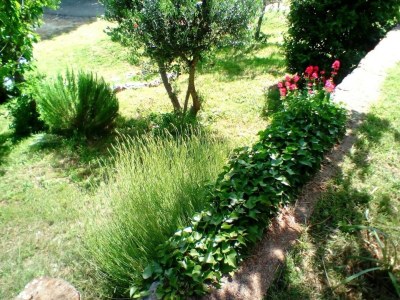 Apartment Studio flat with terrace Bunica, Senj AS-22142-b - Outdoor photo 14