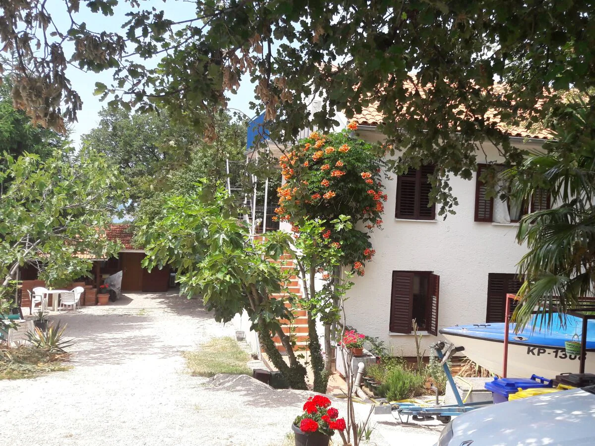 Apartment Two bedroom apartment with terrace Sveti Vid, Krk A-18139-a - Outdoor photo 3