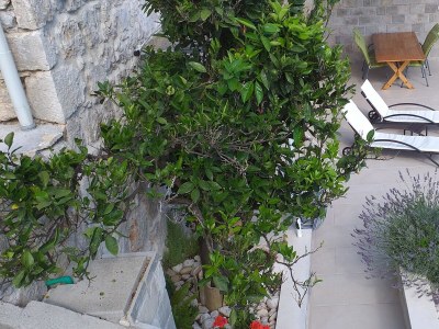 Holiday house One bedroom house with terrace and sea view Mokalo, Pelješac K-18303 - Outdoor photo 13