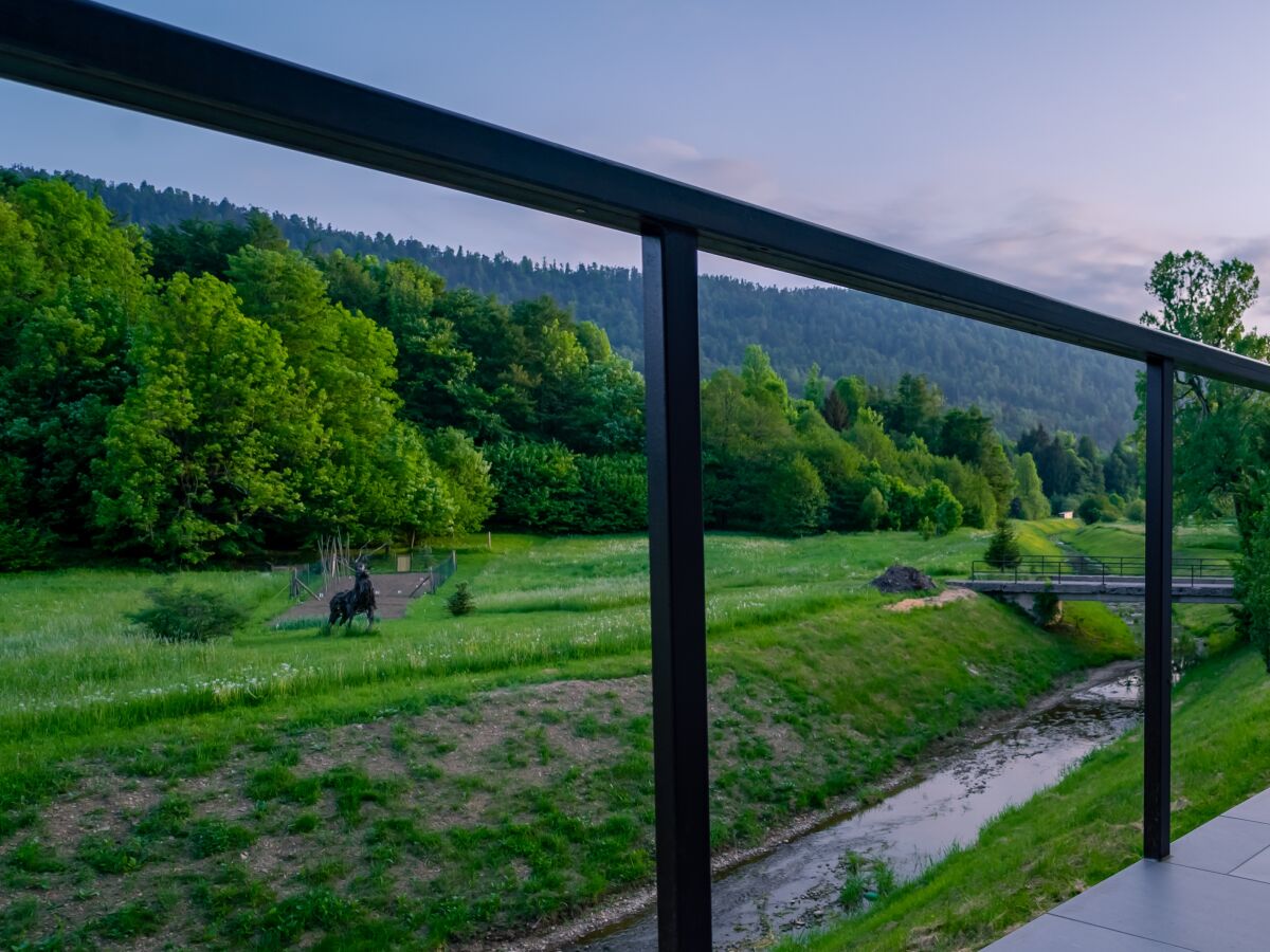 Apartment Two bedroom apartment with balcony Lokve, Gorski kotar A-20236-a - Outdoor photo 4