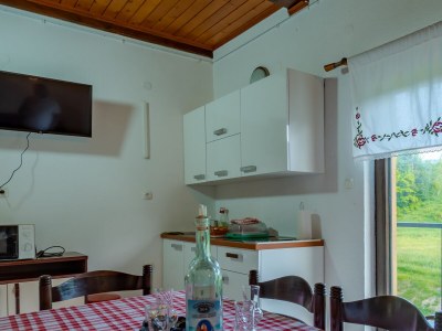 Apartment Two bedroom apartment with balcony Lokve, Gorski kotar A-20236-a - Outdoor photo 7