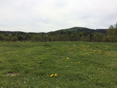 Apartment Two bedroom apartment with balcony Lokve, Gorski kotar A-20236-a - Outdoor photo 14