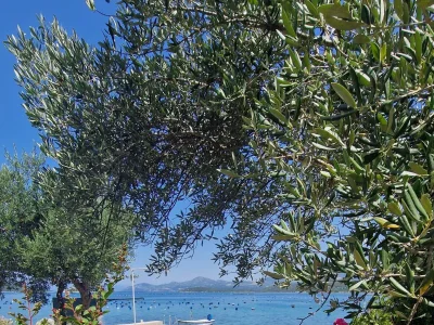 Apartment Two bedroom apartment near beach Žuronja, Pelješac A-13202-a - Outdoor photo 5