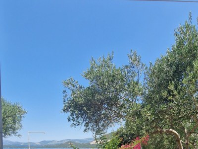 Apartment Two bedroom apartment near beach Žuronja, Pelješac A-13202-a - Outdoor photo 15