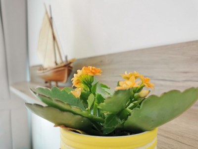 Apartment Studio flat near beach Šilo, Krk AS-21922-a - Outdoor photo 12