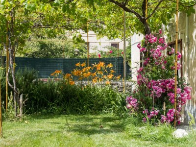 Holiday house Three bedroom house with air-conditioning Osor, Lošinj K-12230 - Outdoor photo 19