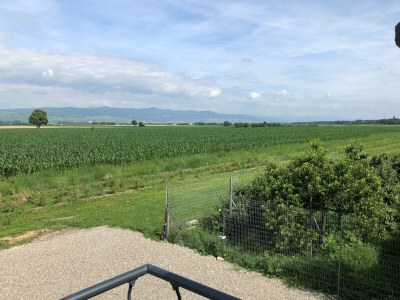 Holiday house Gîte Bretzel - Environment photo 12