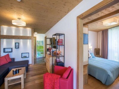 Holiday park Apartment in Wildkogel near Ski Lift - Features photo 15