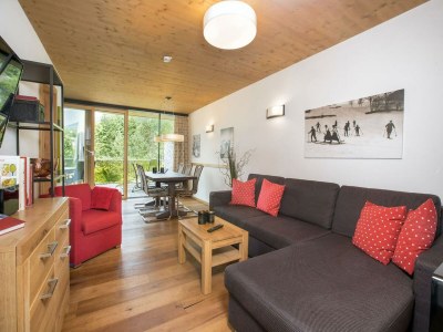 Holiday park Apartment in Wildkogel near Ski Lift - Features photo 17