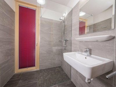 Holiday park Apartment in Neukirchen near Ski Lift - Features photo 10