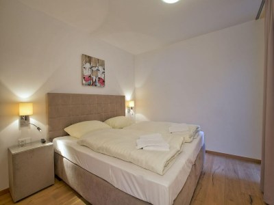 Holiday park Wohnung in Neukirchen am Skilift & Wellness - Features photo 10