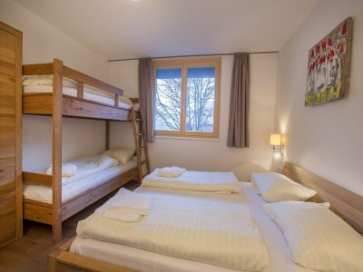 Holiday park Wohnung in Neukirchen am Skilift & Wellness - Features photo 11