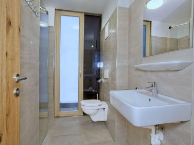 Holiday park Wohnung in Neukirchen am Skilift & Wellness - Features photo 15