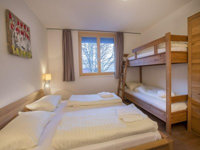 Holiday park Wohnung in Neukirchen am Skilift & Wellness - Features photo 17