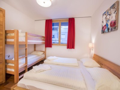 Holiday park Wohnung in Neukirchen mit Lift & Sauna - Features photo 17