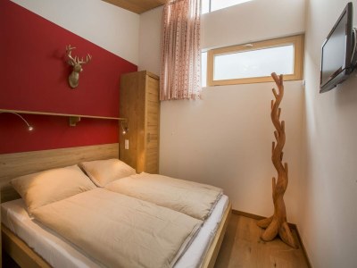 Holiday park Moderne Wohnung mit Sauna und Balkon - Features photo 9