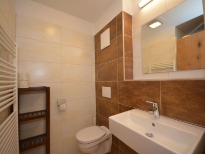 Holiday park Wohnung in Neukirchen am Wildkogel Lift - Features photo 15