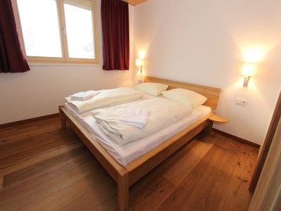 Holiday park Apartment in Neukirchen near Ski Lift - Features photo 13