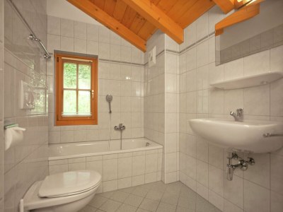 Holiday park Chalet in Königsleiten near Ski Bus, Pool - Features photo 23