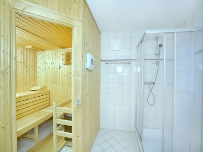 Holiday park Chalet in Austria near Ski Bus and Sauna - Features photo 11