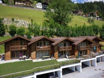 Holiday park Chalet in Wald im Pinzgau near Ski Lift - Outdoor photo 5