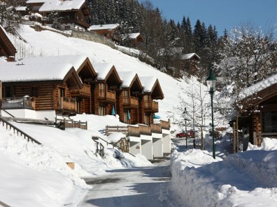 Holiday park Chalet in Wald im Pinzgau near Ski Lift - Outdoor photo 9