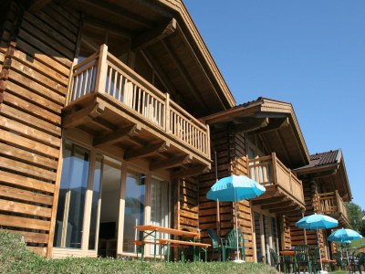 Holiday park Chalet in Wald im Pinzgau near Ski Lift - Outdoor photo 13