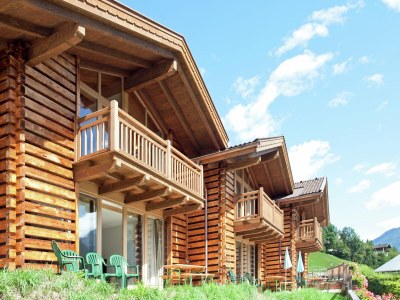 Holiday park Chalet in Wald im Pinzgau near Ski Lift - Outdoor photo 14