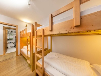 Holiday park Chalet in Königsleiten nahe Zillertal Arena - Features photo 11