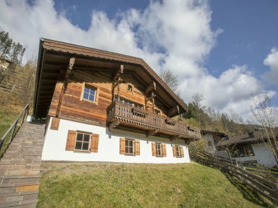 Holiday park Chalet in Wald in der Nähe der Zillertaler Skihalle in Nationalpark Hohe Tauern - Holiday park