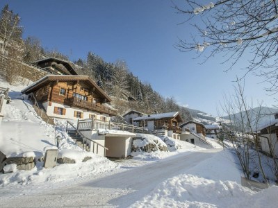 Holiday park Chalet in Wald in der Nähe der Zillertaler Skihalle - Outdoor photo 5