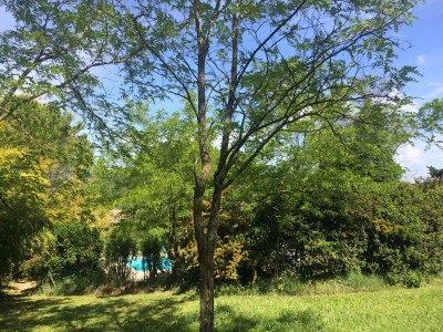 Holiday house Maffone la laupie Oktopus - Outdoor photo 9