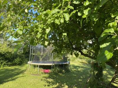 Holiday house Maffone la laupie Oktopus - Outdoor photo 17