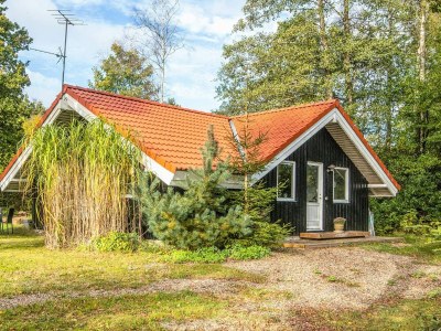 Holiday house 4 Sterne Ferienhaus in Silkeborg - Outdoor photo 23