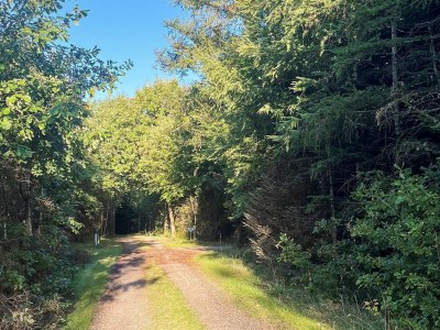 Holiday house 4 Sterne Ferienhaus in Løgstør - Outdoor photo 34