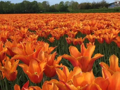 Holiday house Gruppenhaus mit Sauna in der Nähe von Strand - Outdoor photo 35