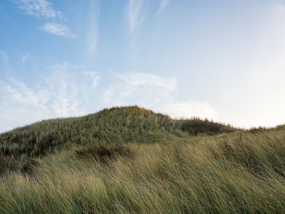 Holiday house Gruppenhaus mit Sauna in der Nähe von Strand - Outdoor photo 39