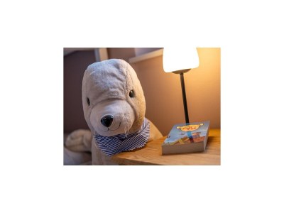 Apartment Ferienwohnung in St. Peter-Ording - Outdoor photo 28