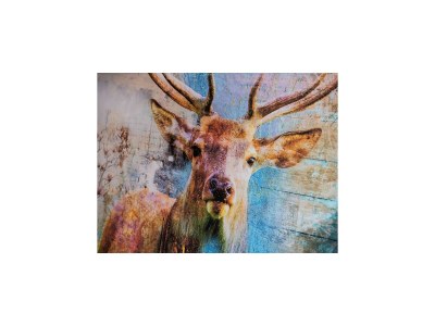 Apartment Ferienwohnung in St. Peter-Ording - Outdoor photo 29