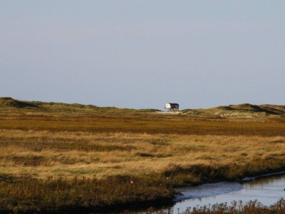 Holiday house Reihenhaus, St. Peter - Ording - Environment photo 17