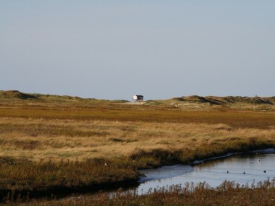 Holiday house Reihenhaus, St. Peter - Ording - Environment photo 16