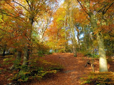 Holiday park Ferienhaus in Nijmegen nahe Zentrum - Environment photo 29