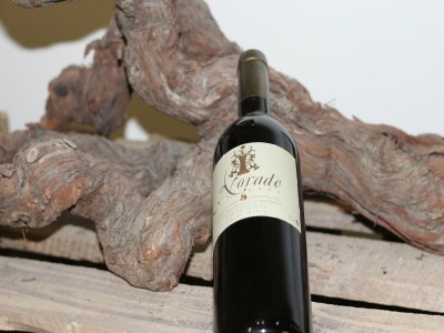 Holiday house Moderne Villa mit Pool - Outdoor photo 33