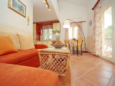 Apartment Studio Apartment with Balcony and Sea View (Jelsa) - Features photo 4