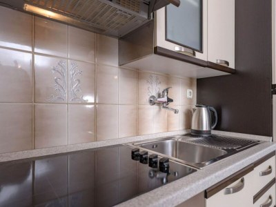 Apartment One Bedroom Apartment with Terrace 5 - Features photo 7