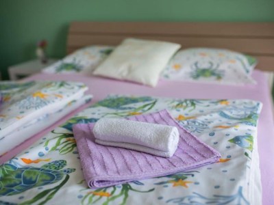 Apartment Apartments Melanie - Oprić Hills Studio apartment with balcony (C) - Features photo 23