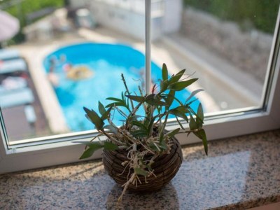 Apartment Apartments Melanie - Oprić Hills Studio apartment with balcony (C) - Outdoor photo 40