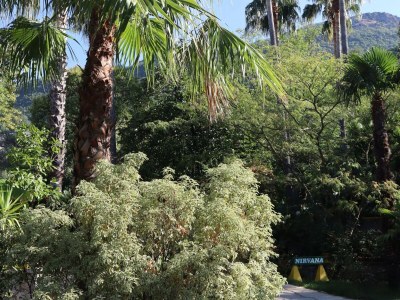 Apartment Silver Gate Rooms-Diocletian's Palace - Quardruple Room - Outdoor photo 17