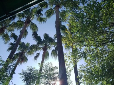 Apartment Silver Gate Rooms-Diocletian's Palace - Quardruple Room - Outdoor photo 23