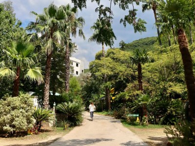 Apartment Silver Gate Rooms-Diocletian's Palace - Quardruple Room 1 - Outdoor photo 15
